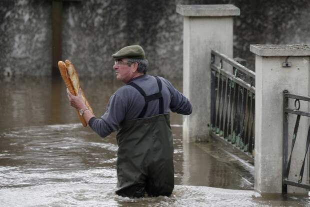 Наводнение во Франции  животные, кадр, люди, фото, фотоподборка