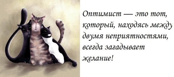 Вот что значит сенсорный телефон... Кот, обнюхивая его, сделал 3 снимка, отправил 5 сообщений и вызвал наряд полиции Вот что значит сенсорный телефон... Кот, обнюхивая его, сделал 3 снимка, отправил 5 сообщений и вызвал наряд полиции значит, месяц, пароль, Сначала, чтонибудь, купить, трусы, Женская, каждым, годомОбъявление, самолете, Пристегните, ремни, готовится, растуды, самолет, фотоаппаратов, посадке, аэропорту, имени