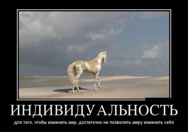 Демотиваторы (30 фото)