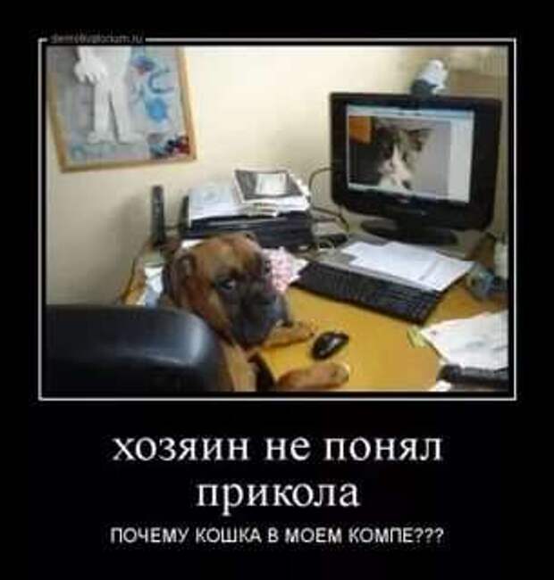 Прикольные демотиваторы с надписями. Подборка chert-poberi-dem-chert-poberi-dem-10330907112020-15 картинка chert-poberi-dem-10330907112020-15