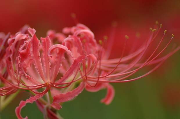 Есть только миг между прошлым и будущем... Есть только миг между прошлым и будущем...
