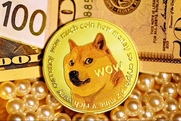 Символ криптовалюты Dogecoin ушел из жизни. Собака прожила 18 лет