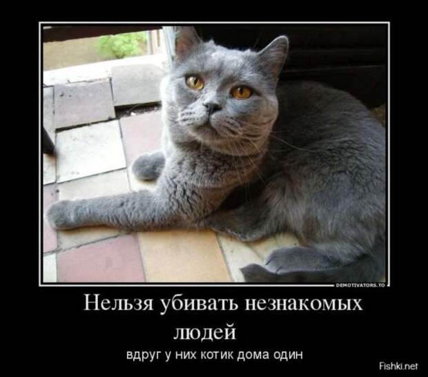 Демотиваторы. Подборка chert-poberi-chert-poberi-31500425032020-8 картинка chert-poberi-31500425032020-8