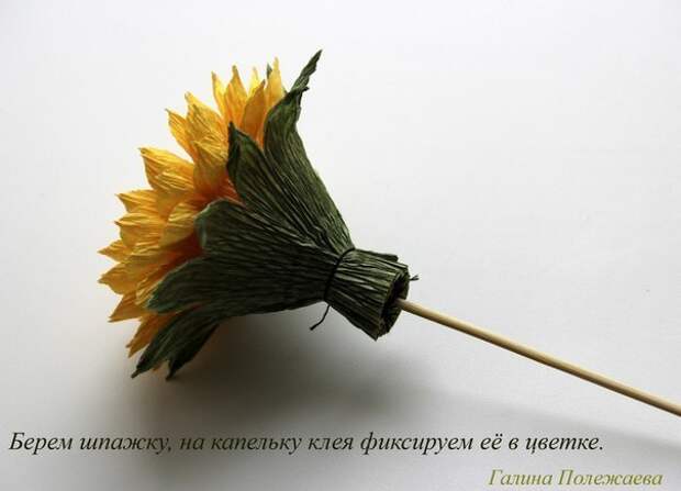 Подсолнухи