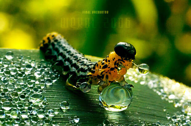 Фотография: Без фотошопа (часть 2) №6 - BigPicture.ru