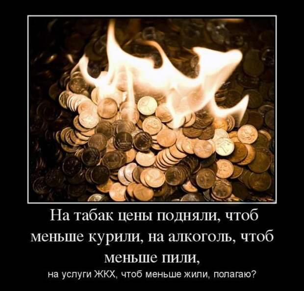 Демотиваторы №1103 (30 фото)