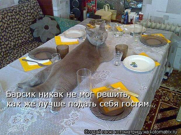 Демотиваторы и не только.