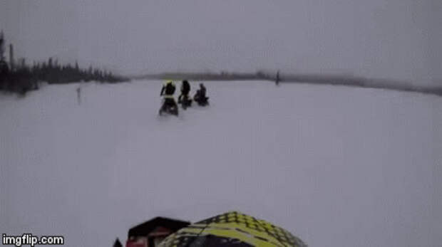 друзья, прикол, юмор