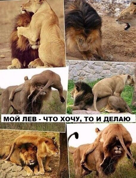 Субботний позитивчик (30 фото)