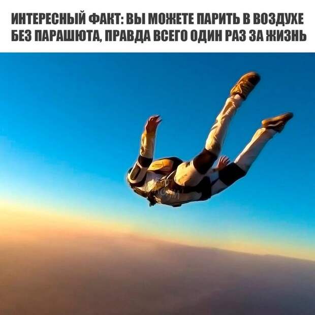Прикольные картинки 24.08.17