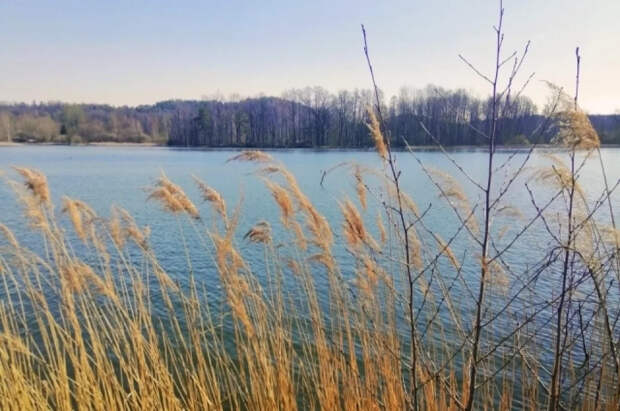 В Днепропетровске мужчина вплавь спасся от сотрудников ТЦК