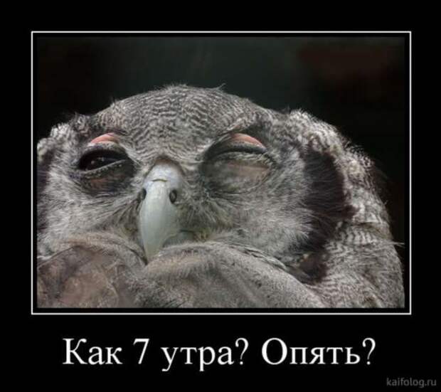 Демотиваторы. Подборка chert-poberi-chert-poberi-31500425032020-4 картинка chert-poberi-31500425032020-4