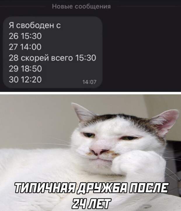 Смешные картинки 2 ноября 2021 года