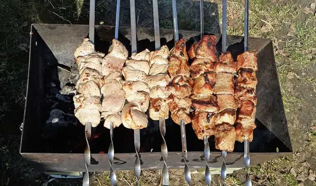 Россиян будут штрафовать за готовку шашлыков в неположенном месте