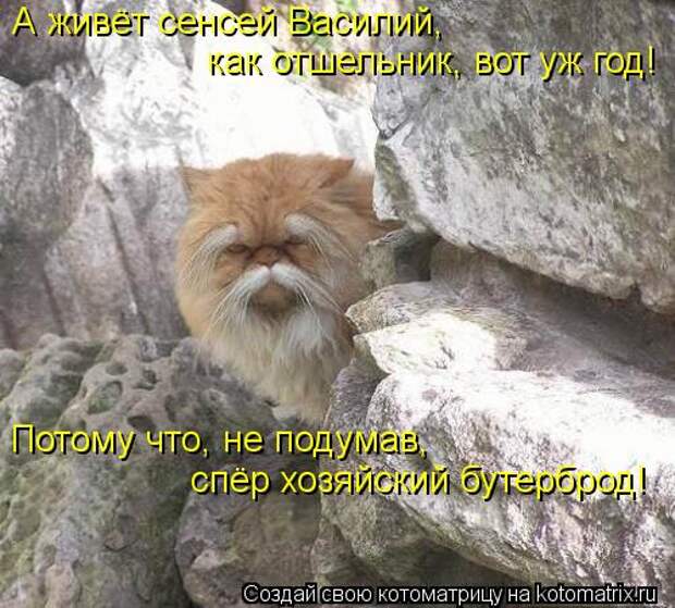 Смешная котоматрица