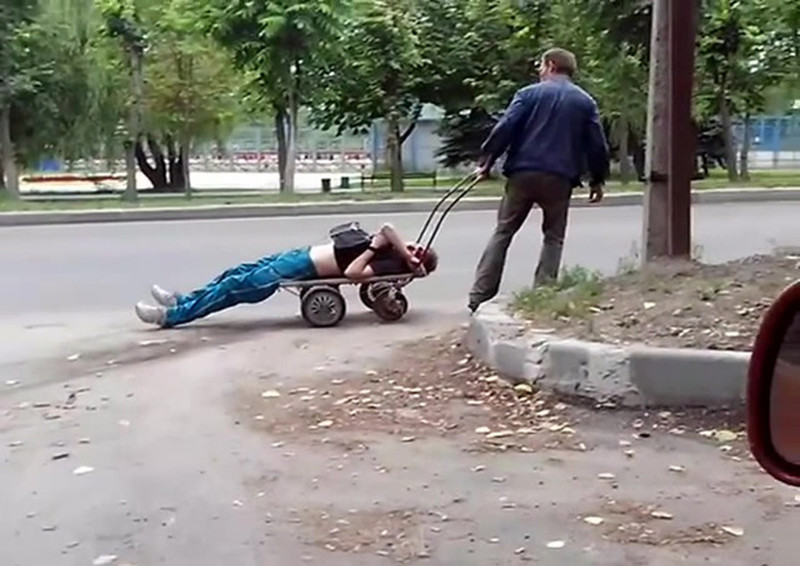 Всем бы таких помощников прикол, смешные, удачный кадр, юмор