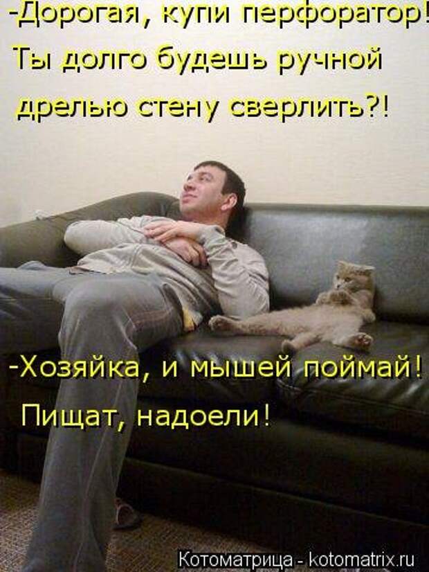 Лучшая котоматрица недели (38 фото)