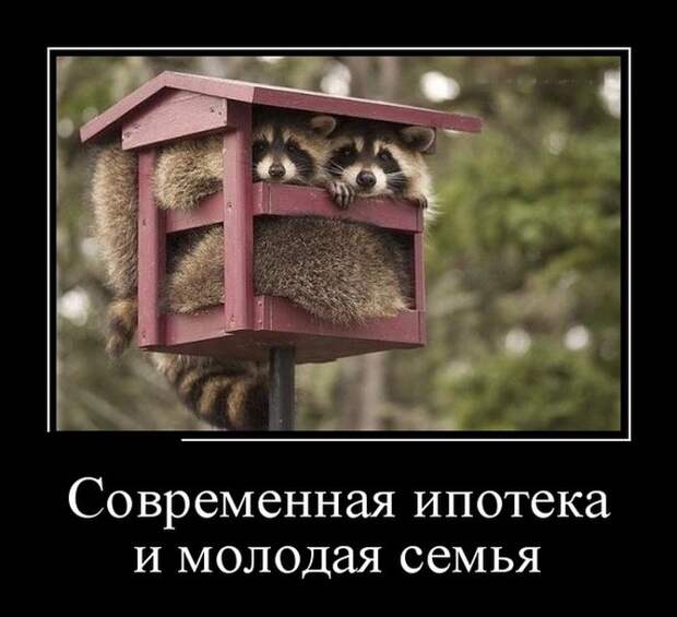 Демотиваторы (30 фото)