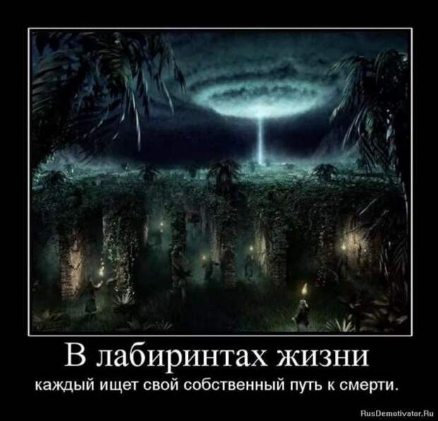 Прикольные демотиваторы с надписями. Подборка chert-poberi-dem-chert-poberi-dem-45300504012021-13 картинка chert-poberi-dem-45300504012021-13