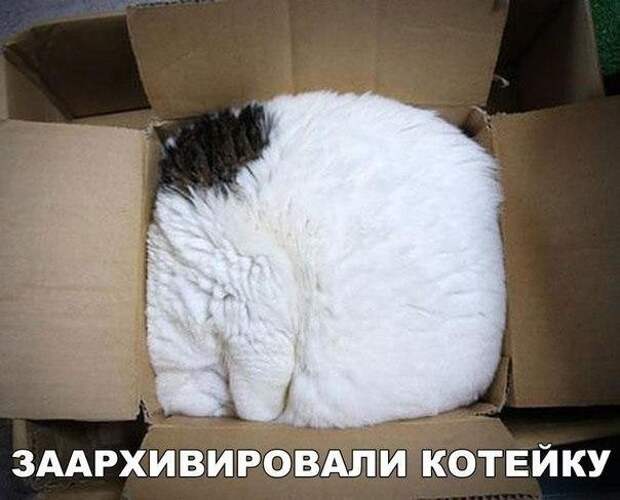 Ну очень смешной черный юмор в картинках! Ну очень смешной черный юмор в картинках!
