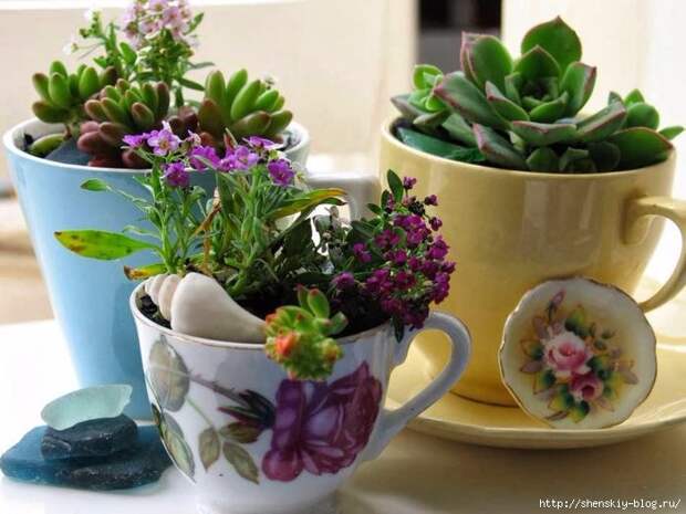 Creative-Planter-Designs-18 (700x525, 192Kb)