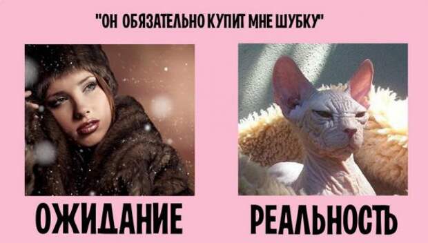 Семейная жизнь: ожидание и реальность