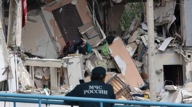 В Ногинске волонтеры пытаются спасти питомцев после взрыва в жилом доме