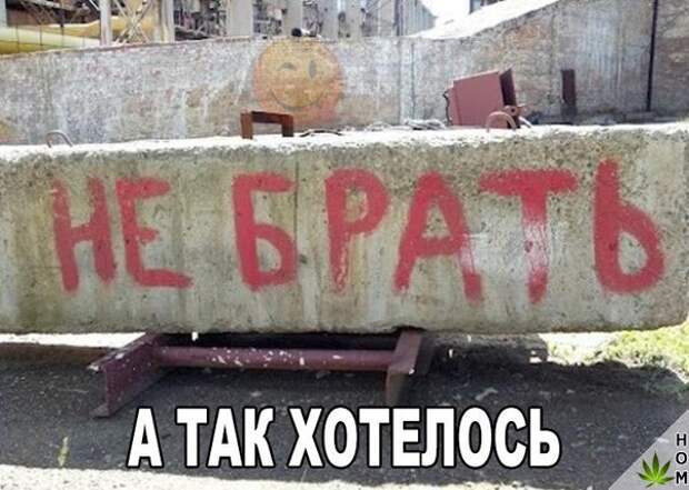 Забавные картинки с надписью для веселья (12 фото) Забавные картинки с надписью для веселья (12 фото)