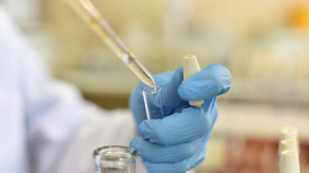 Коронавирус в Калининграде унес жизни пяти человек за последние сутки