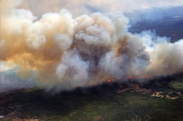 Жителей Канады возмутило игнорирование властями помощи от РФ в тушении лесных пожаров