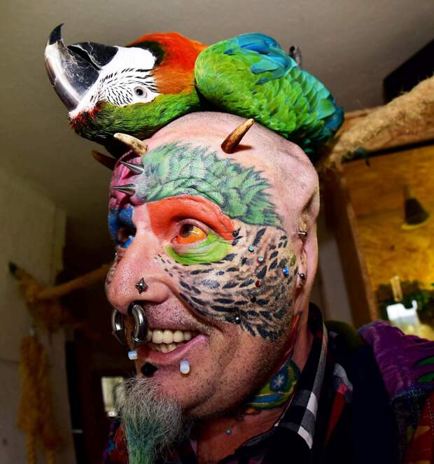 Мертвый попугай на голове - тренд сезона страшно красиво, тату, фрики
