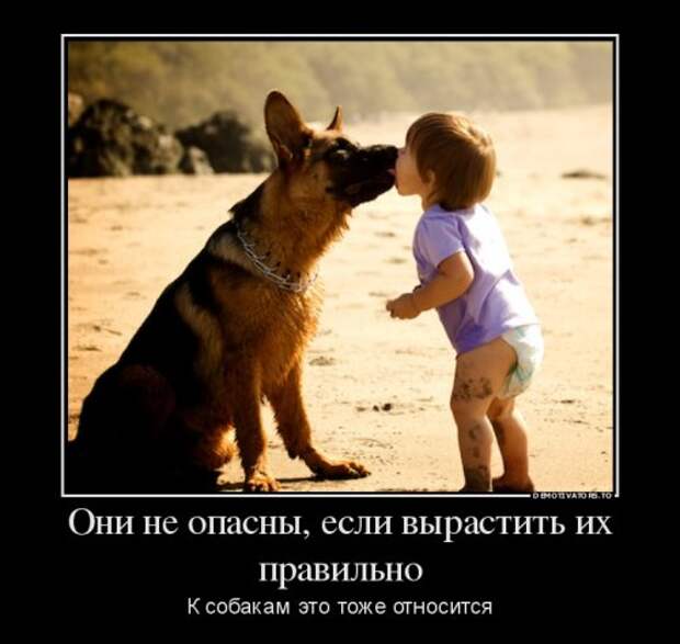 Прикольные демотиваторы на Бугаге (14 шт)