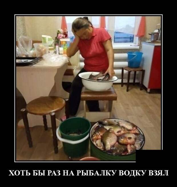 Демотиваторы (20 фото)