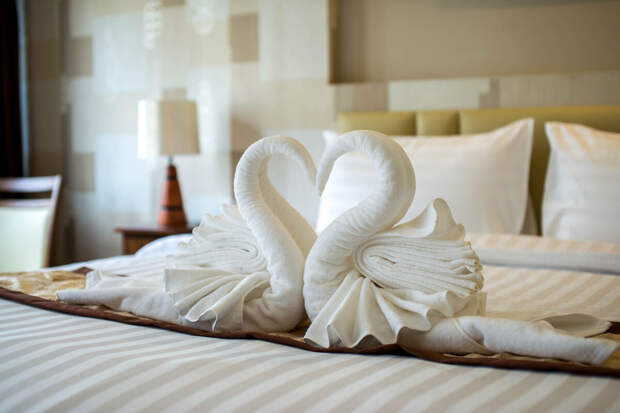 SHOT: российских туристов атаковали клопы в пятизвездочных отелях ОАЭ