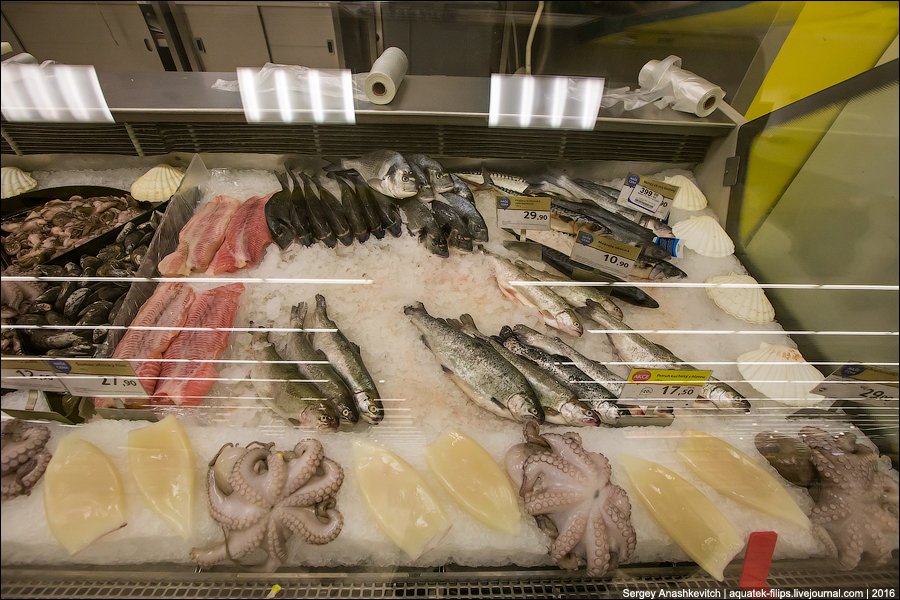 Удивительные цены на продукты в супермаркете Праги