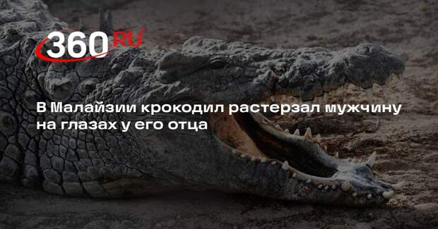 В Малайзии крокодил растерзал мужчину на глазах у его отца
