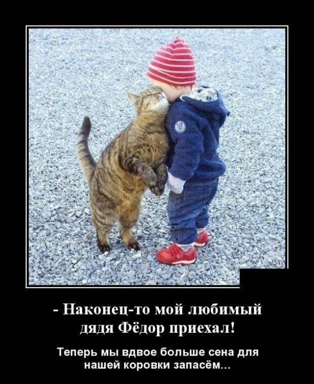 Демотиваторы