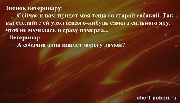 Самые смешные анекдоты ежедневная подборка chert-poberi-anekdoty-chert-poberi-anekdoty-52571112082020-19 картинка chert-poberi-anekdoty-52571112082020-19