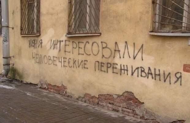 Прикольные картинки