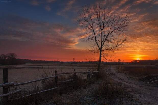 Осень в деревне Осень, Деревня, Природа, Красота, Фотография, Длиннопост