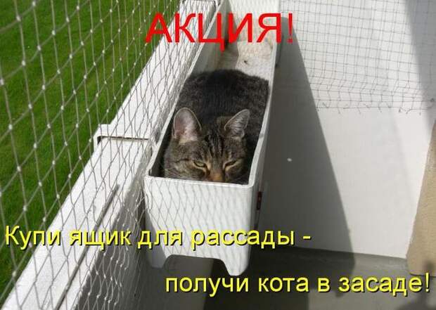Мысли вслух :)