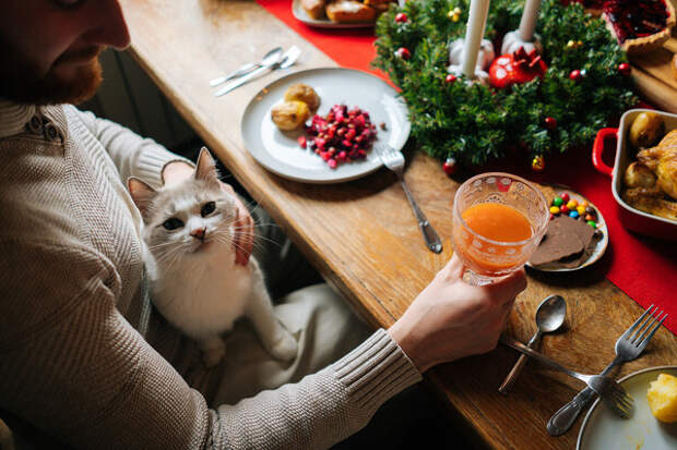 Россиян предупредили о самых рискованных сочетаниях алкоголя в праздники