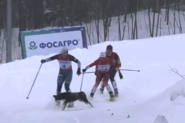 Тренер Турышев: у Кудисовой после столкновения с псом есть проблемы с копчиком
