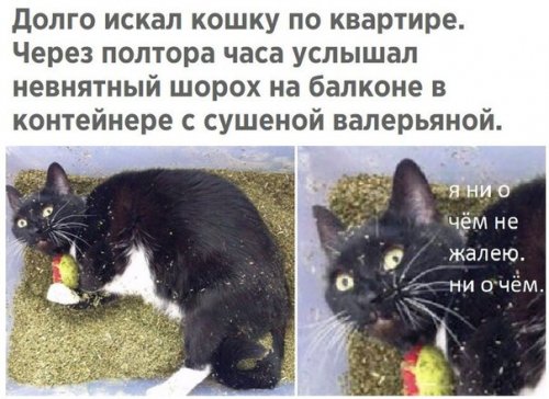 Прикольные фотомемы на Бугаге (25 шт)