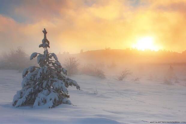 Крым Зимой