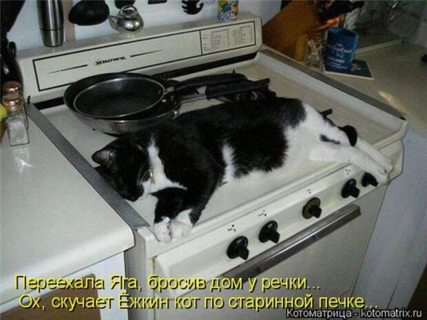 Котоматрицы(картинки с надписями)