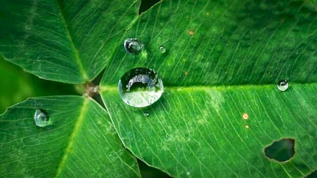 Как привлечь удачу и избавиться от нищеты? Народные приметы и обряды 2 апреля