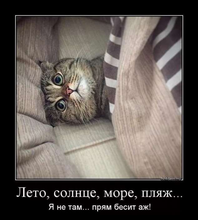 Прикольные демотиваторы с надписями. Подборка chert-poberi-dem-chert-poberi-dem-57290913072020-11 картинка chert-poberi-dem-57290913072020-11