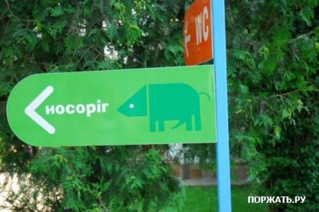 Подборка фото юмора...
