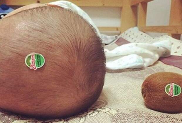 С ними не соскучишься.